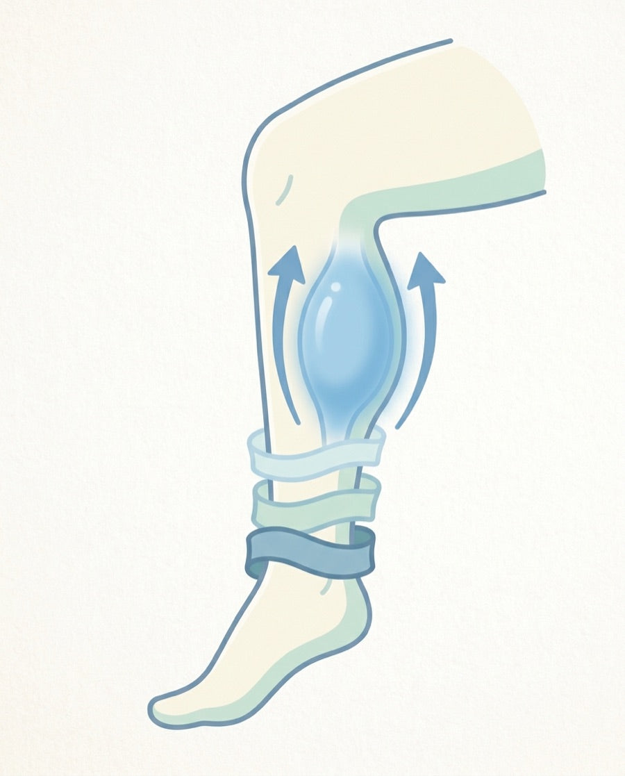 The calf is a second heart
